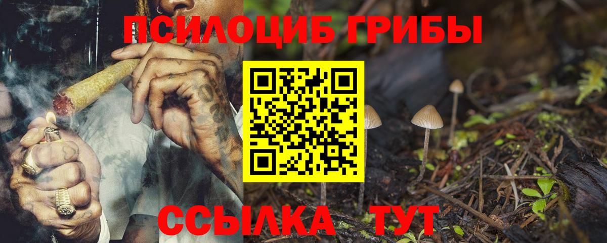 Галлюциногенные грибы ЛСД  Псилоцибиновые грибы Magic Shrooms  купить наркотики цена  Вход с VPN  Можайск 